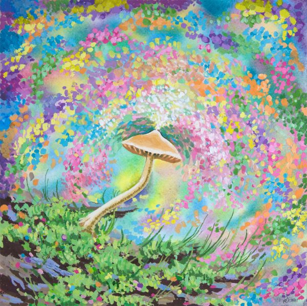 Mushroom Dreaming of Magic Psychedelic
