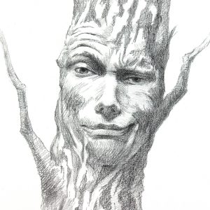Sarcastic Tree Face Expression Pencil Drawing